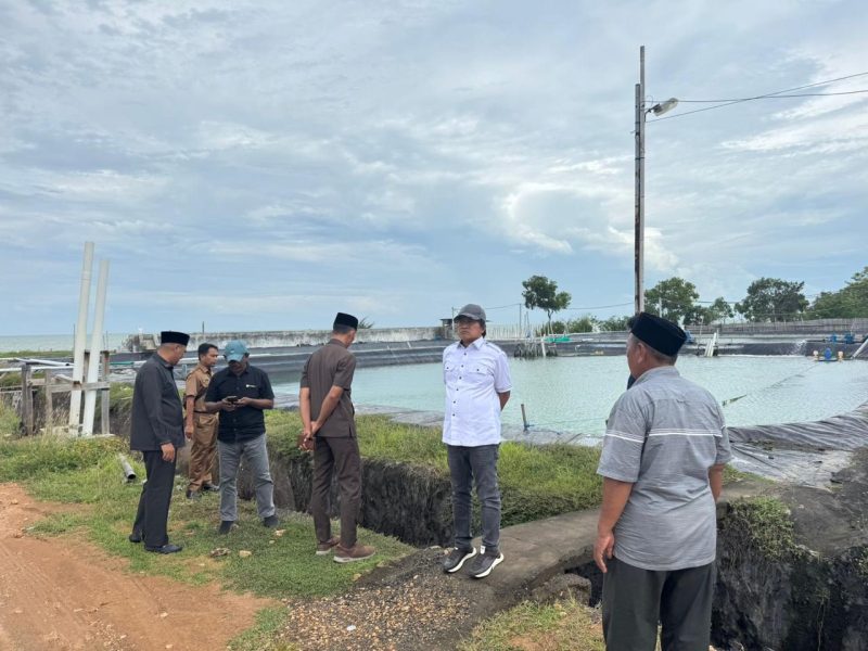 Foto saat Pansus mengecek tambak udang di Juruan Daja yang tanpa Ipal dan langsung ke laut. 